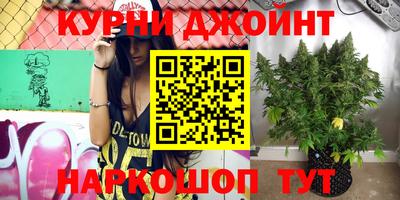 скорость Бердск
