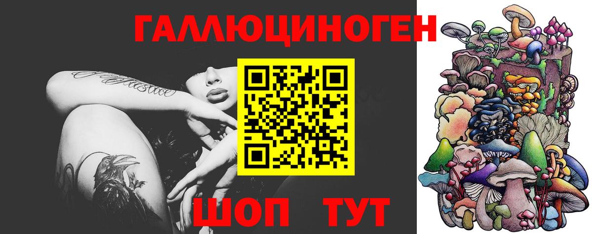 Сланцы  Псилоцибиновые грибы Magic Shrooms  Вход с VPN 